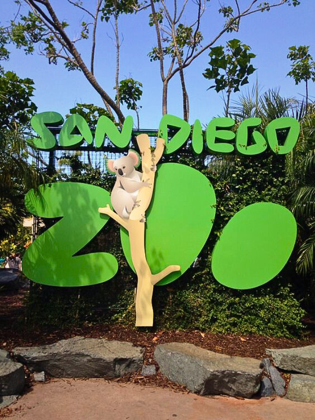 san diego zoo